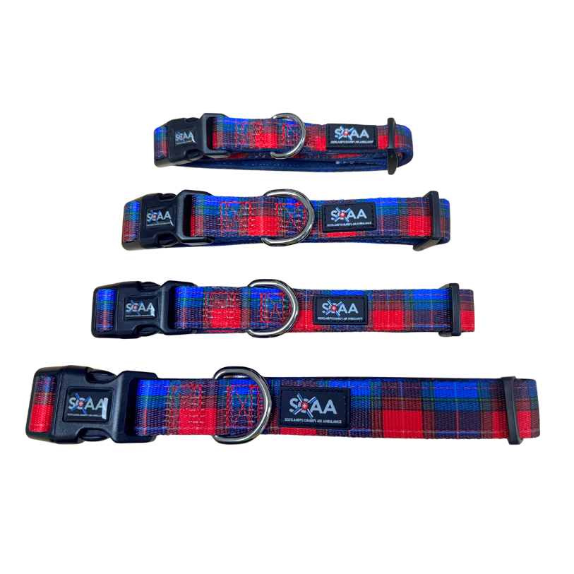 Pet Collar
