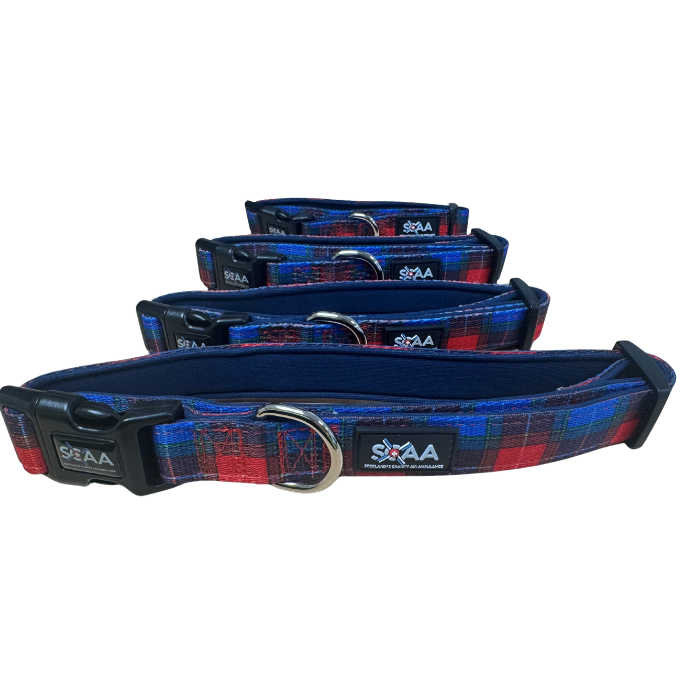 Pet Collar
