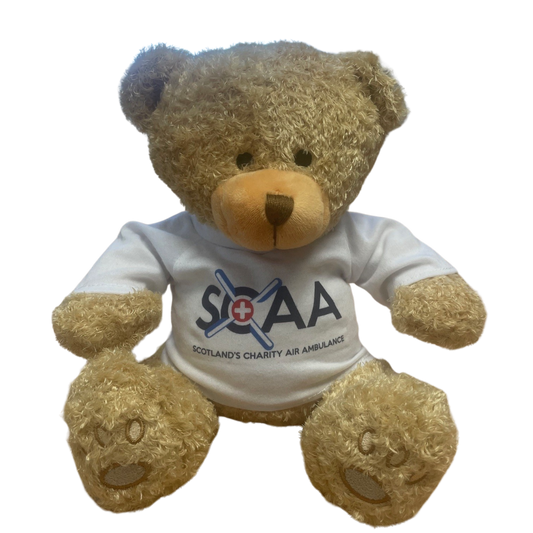 Teddy bear