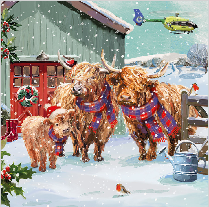 Christmas Cards - Together at Christmas, pack of 10